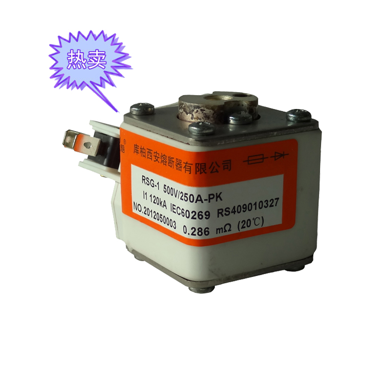 西熔方體快速熔斷器RSG-1 500V_250A